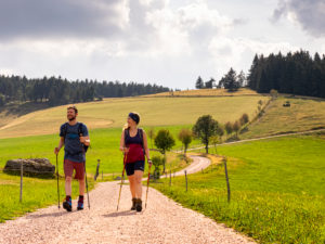 Hiking on the Zweälersteig, Rohrhardsberg Hiking on the Zweälersteig, Rohrhardsberg